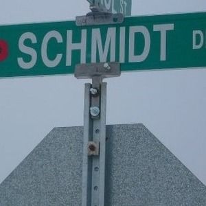 Meet your Posher, Dawn-chad